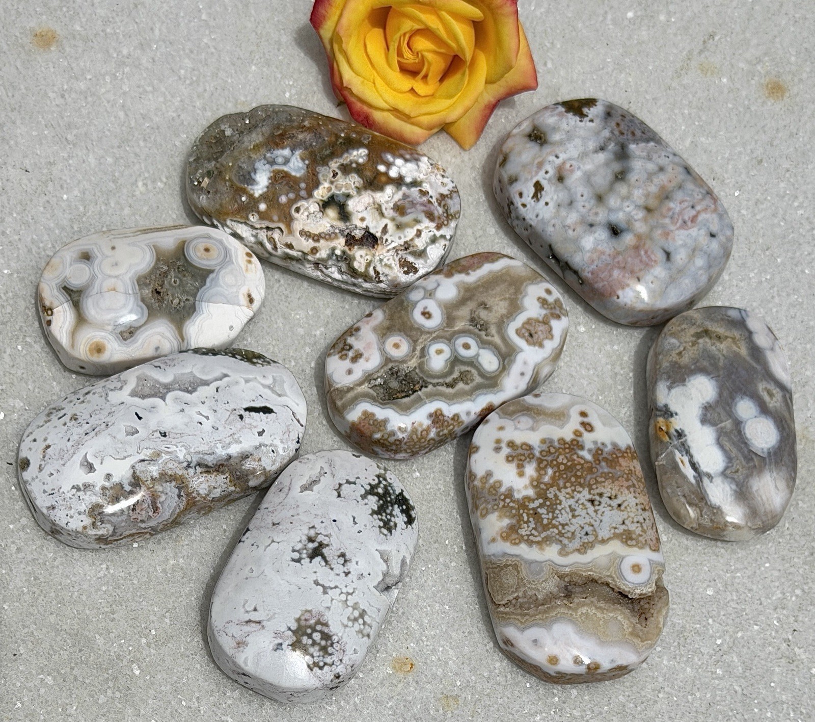 Wholesale Lot 1 Lb Natural Ocean Jasper Palm Stone Crystal Healing Energy.