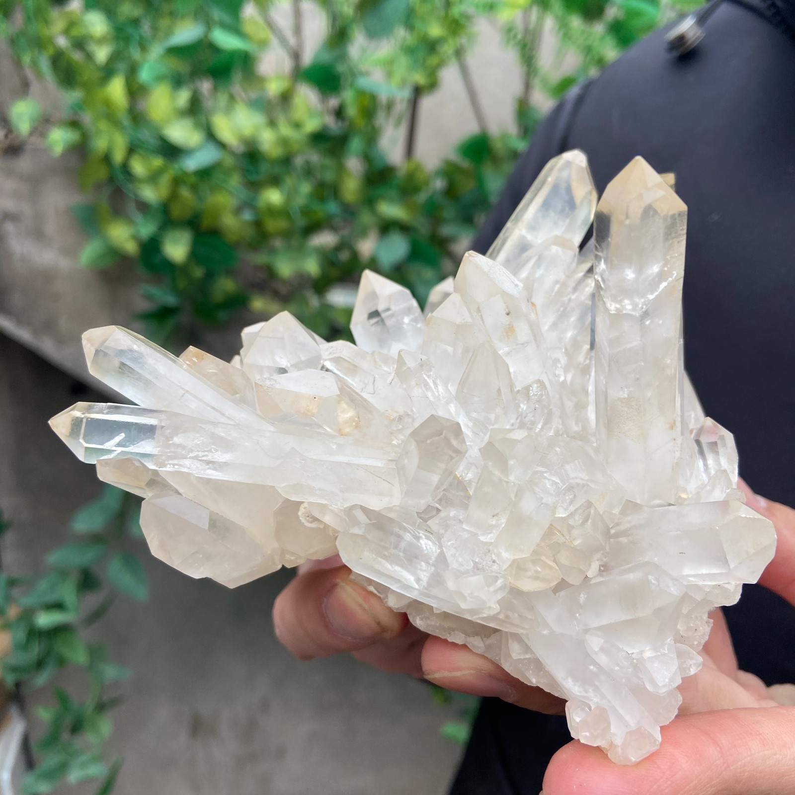 1.6lb Natural clear white quartz crystal cluster mineral specimen healing