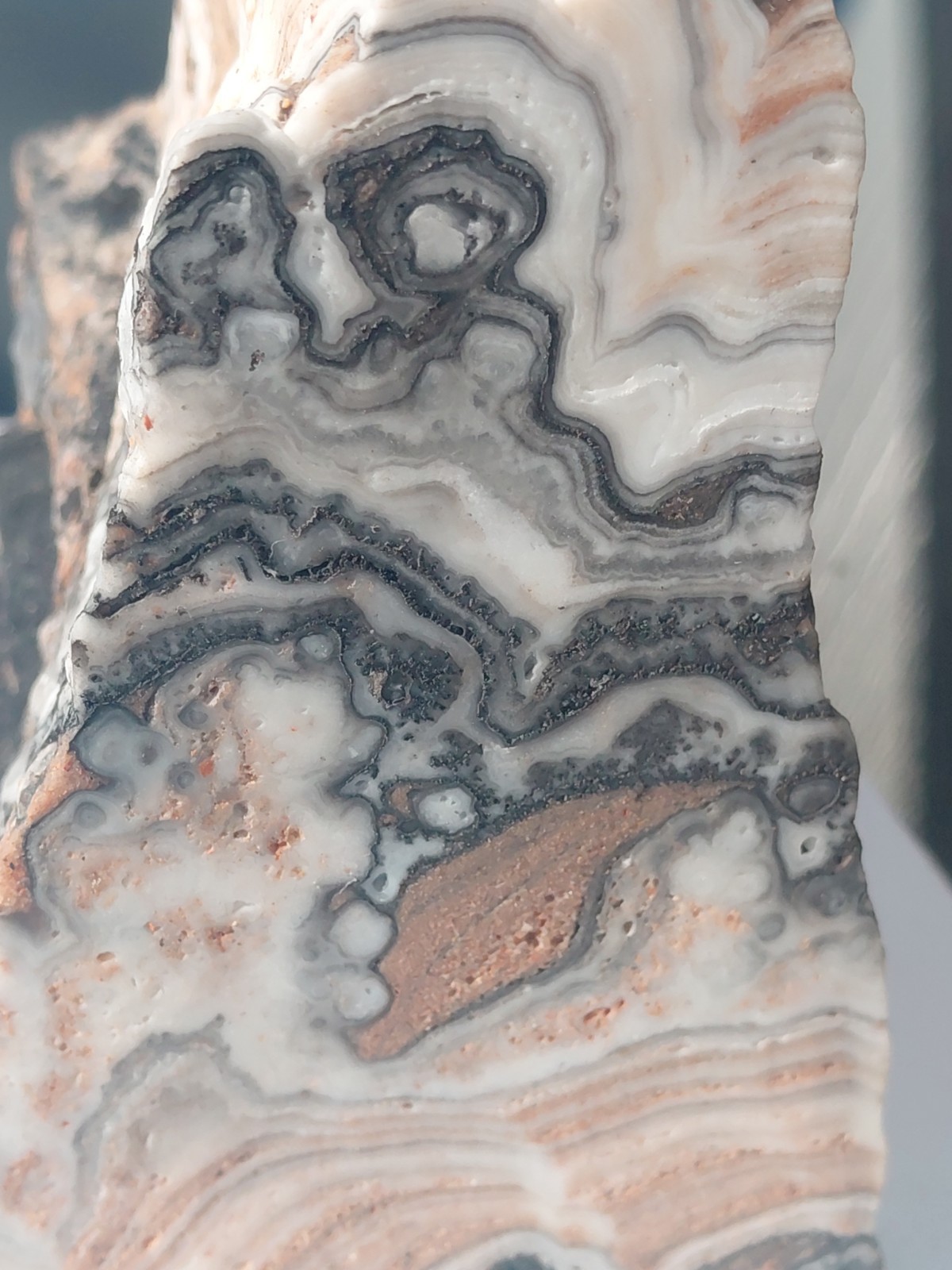 Zebra Calcite Self-Standing Display 1 1/4 Lb Dendritic Psychedelic Crisp Bands