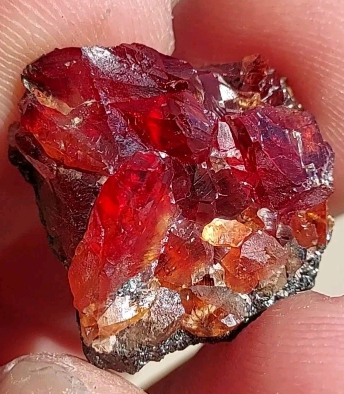 ULTRA RARE GEM RHODOCHROSITE On Matrix N’Chwaning I Mine, KMF, South Africa