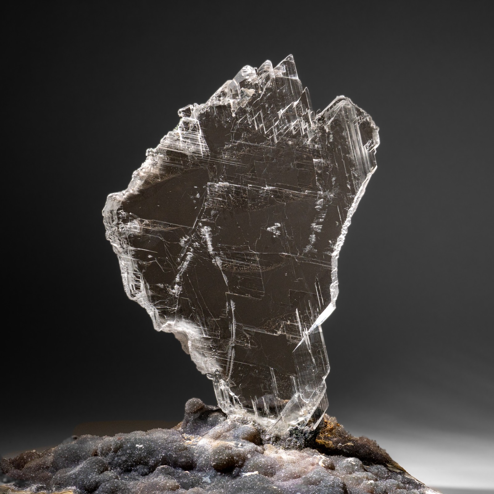 Gypsum Var. Selenite on Matrix from Rio Grande do Sul, Brazil (11.5 lbs)