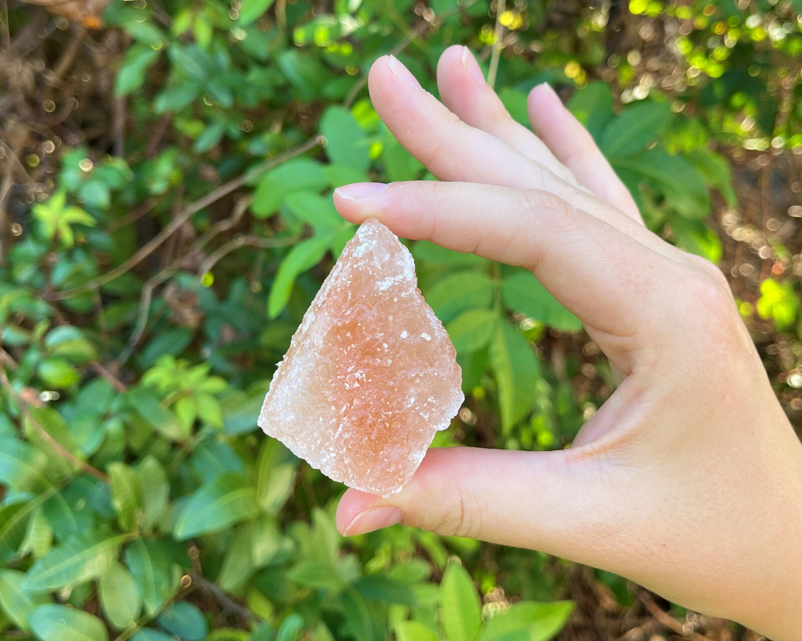 5 lb Himalayan Salt Chunks Crystals Rocks (Wholesale Bulk Lot)