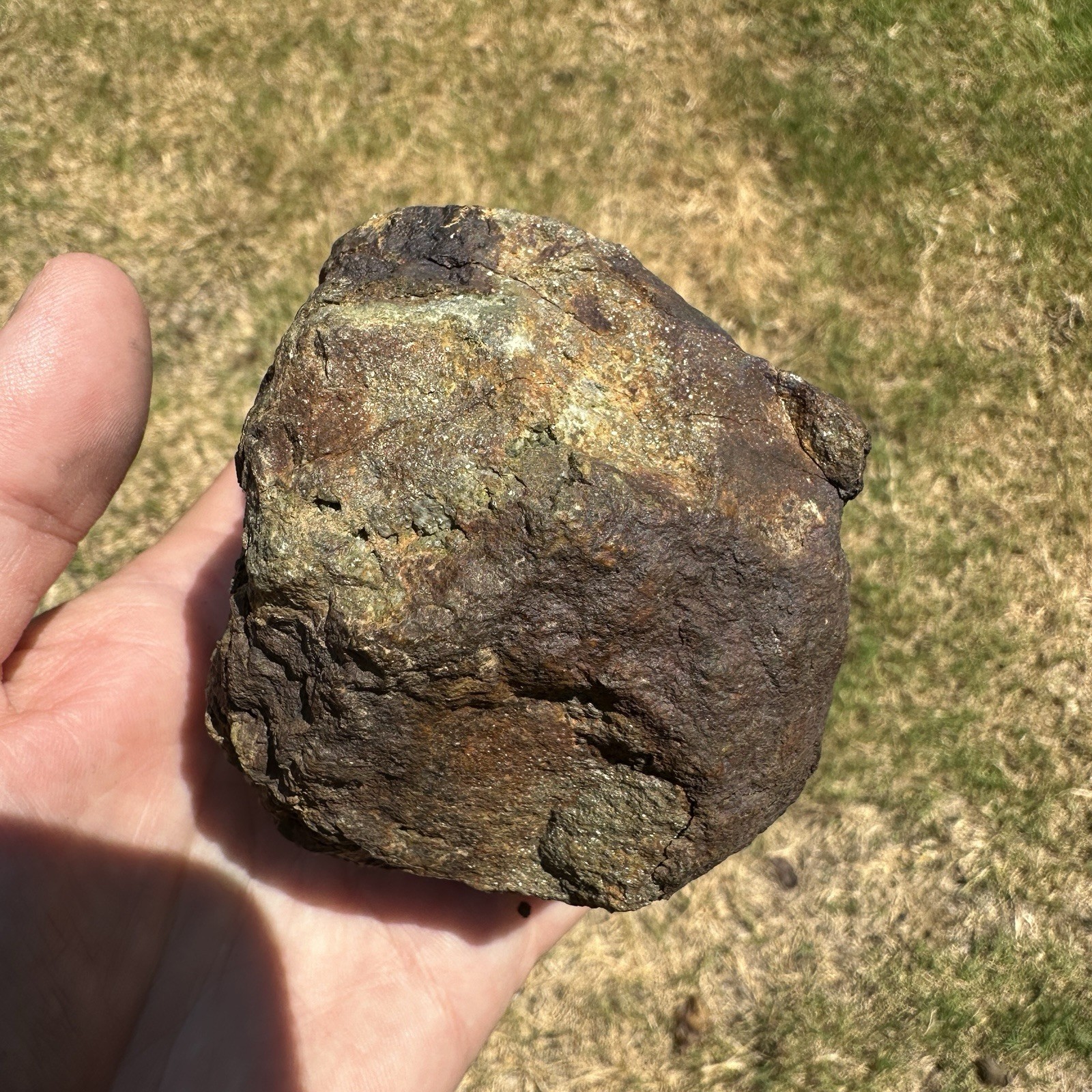 Mt Skukum Pyrite Nodule 3.75 Inch Collector Mineral Rock Specimen Yukon 1076.3g