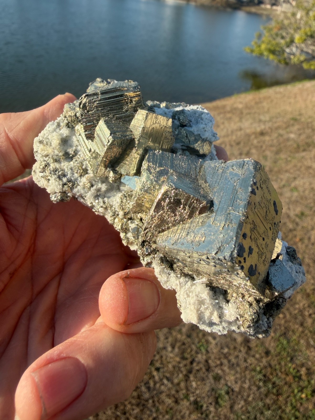 AAA PYRITE Crystal CUBE Cluster Huanzala Mine Peru 346gr 4″+ wide