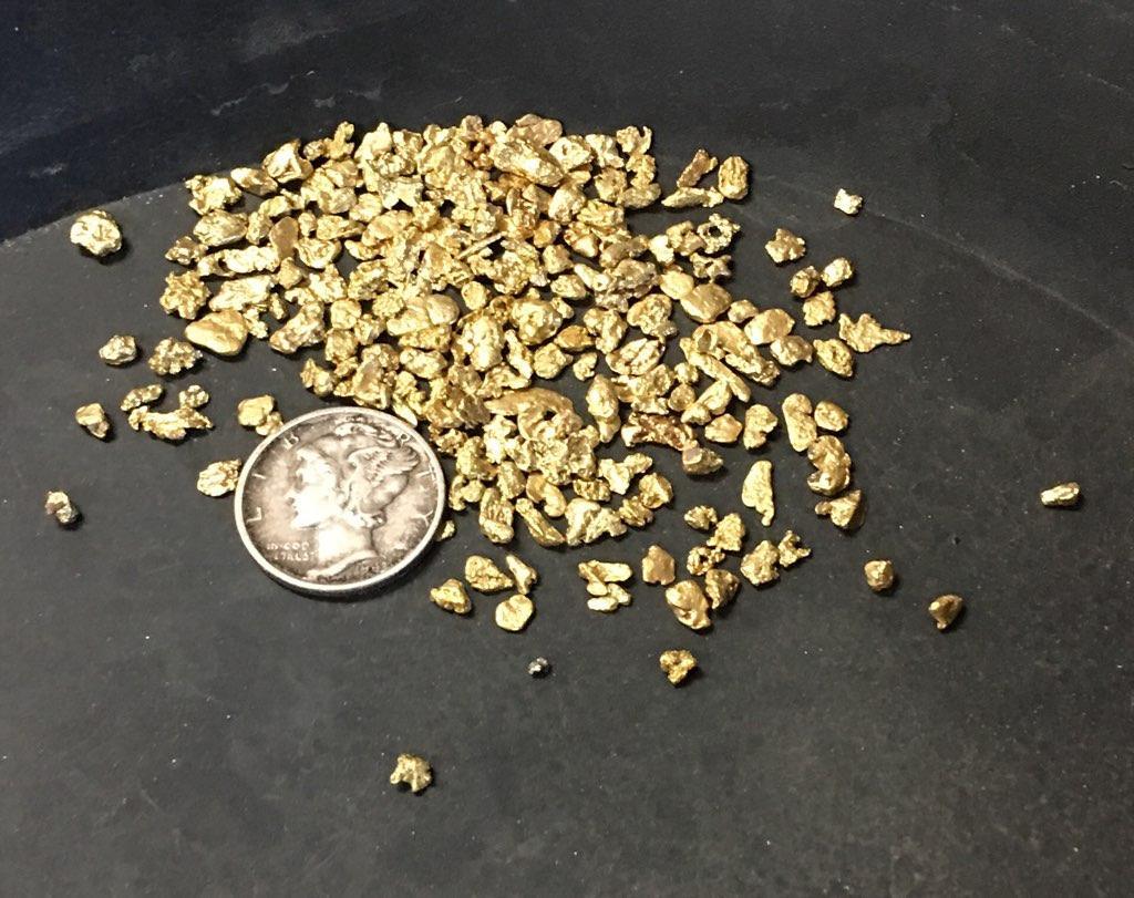 Gold Paydirt 1 LB From Colorado – Unsearched Gold Paydirt Bags – Guaranteed Gold