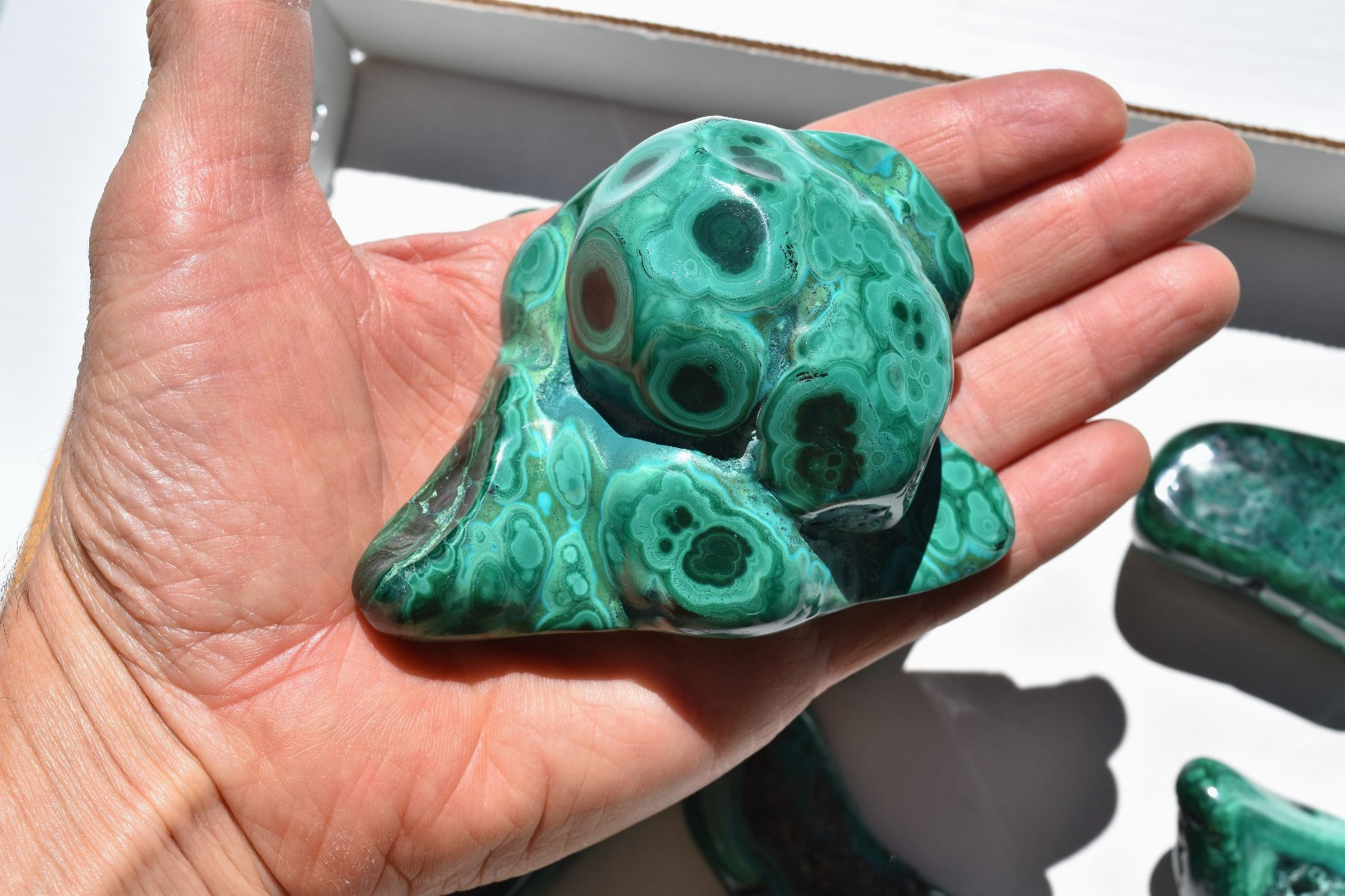 WHOLESALE Polished Malachite from Congo 15 pieces 2 kg # 5869