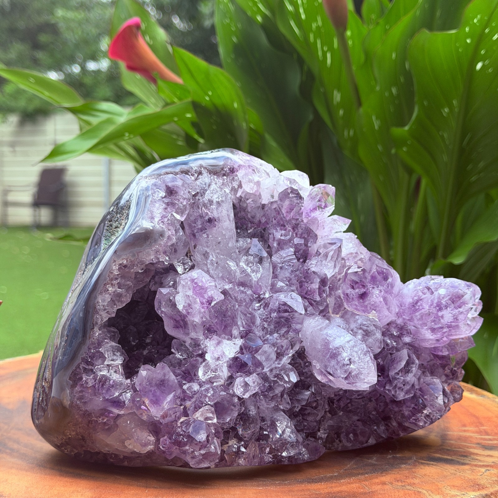 Massive Museum Grade Amethyst Geode Specimen 3.49kg Serra do Sol Brazil