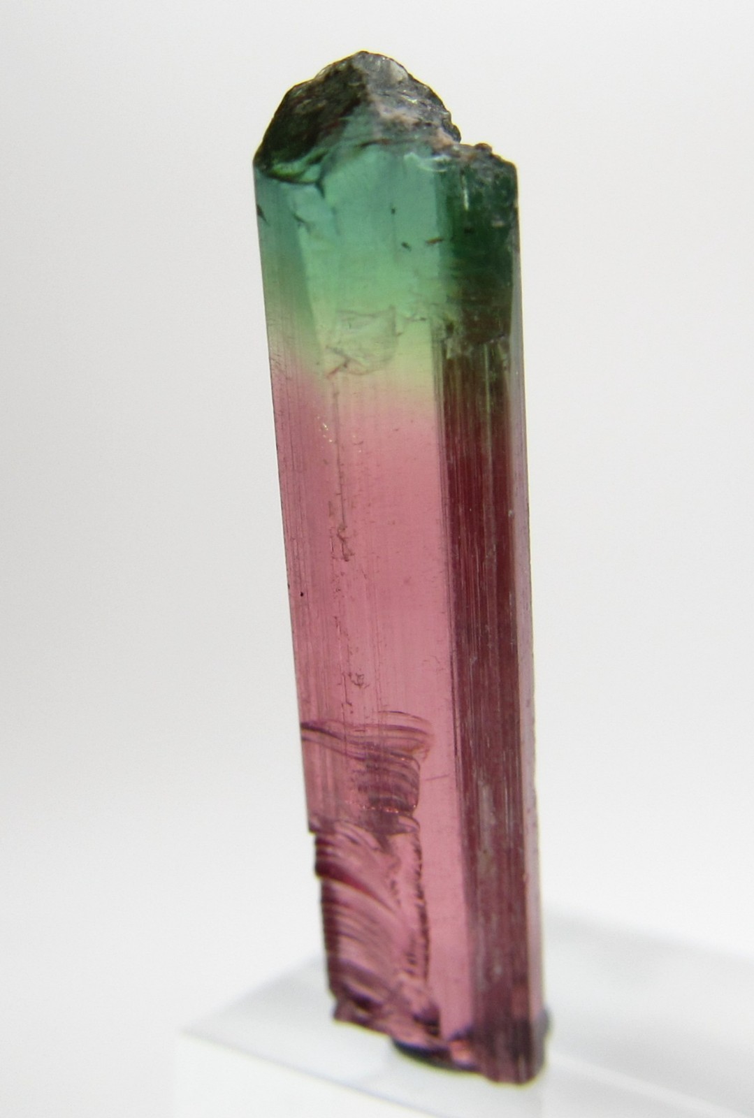 PHENOMENAL RARE FACET GRADE GEM TOURMALINE CRYSTAL!!! MORRO REDONDO BRAZIL