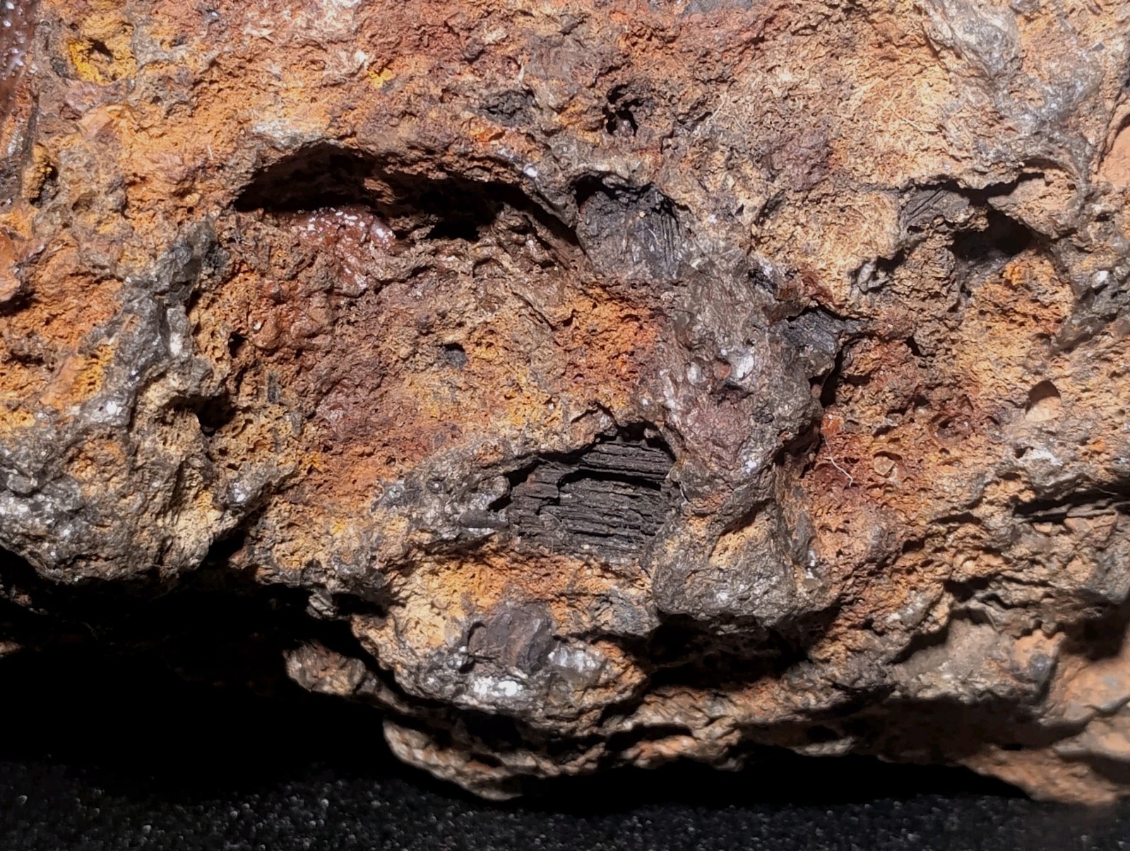 8″ Rare Missouri Iron-Aged Fossil Wood in Smoky Chalcedony – Knob Creek