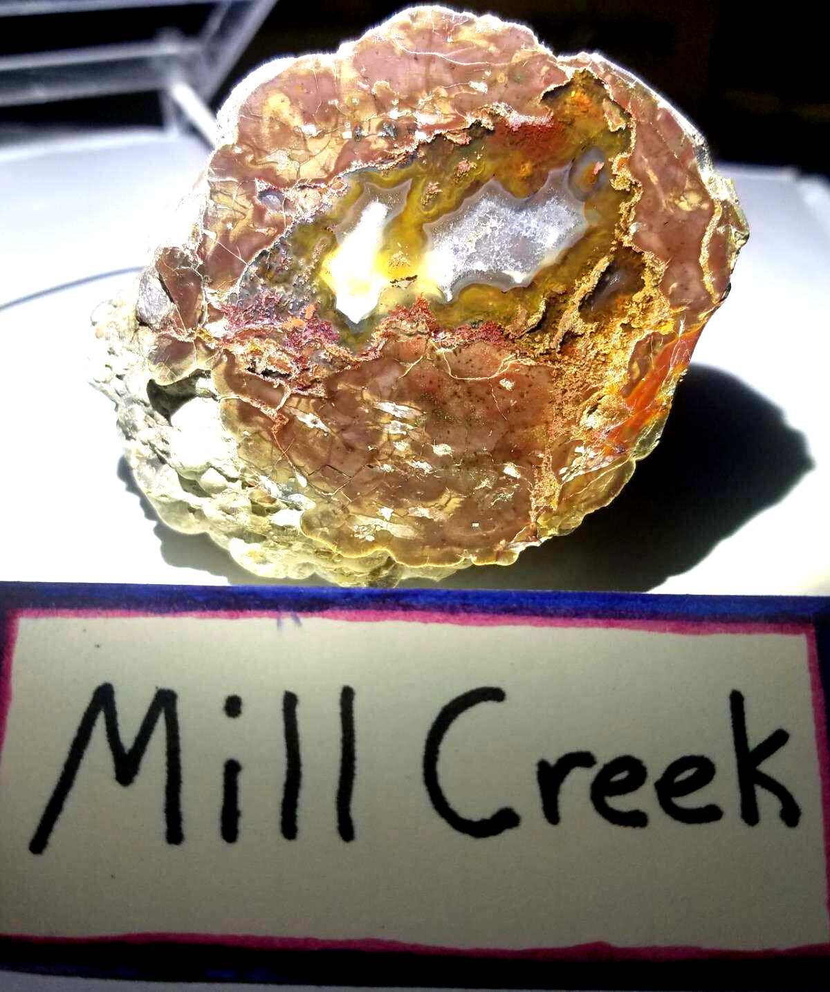 POLISHED RARE Oregon Mill Creek Thunderegg (No Cracks Agate)Ghost Crystal Plumes