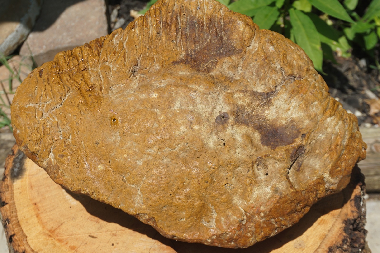 HUGE 30 Lbs. Kentucky Geode