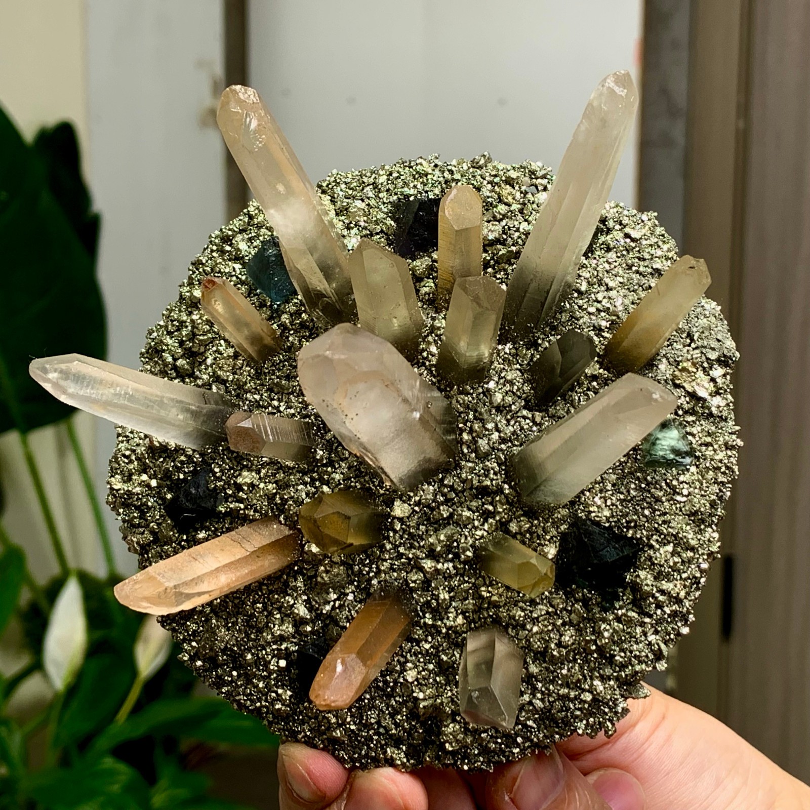 492G Coexistence of natural quartz and pyrite green fluorite crystal clusters