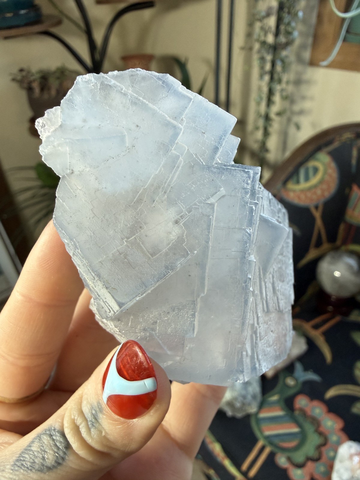 Blue Fluorite Cubes – Floating Cluster (No Matrix) – 9.28 oz