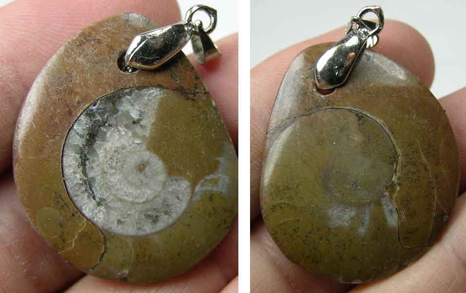 1 5/16 in Morocco Natural Snail Ammonite Fossil Crystal Specimen Pendant 32mm #7