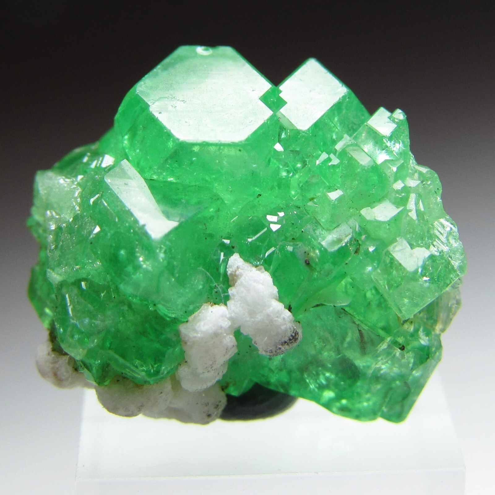 FASCINATING GEOMETRIC GEM TSAVORITE GROSSULAR GARNET CRYSTAL!!! TANZANIA