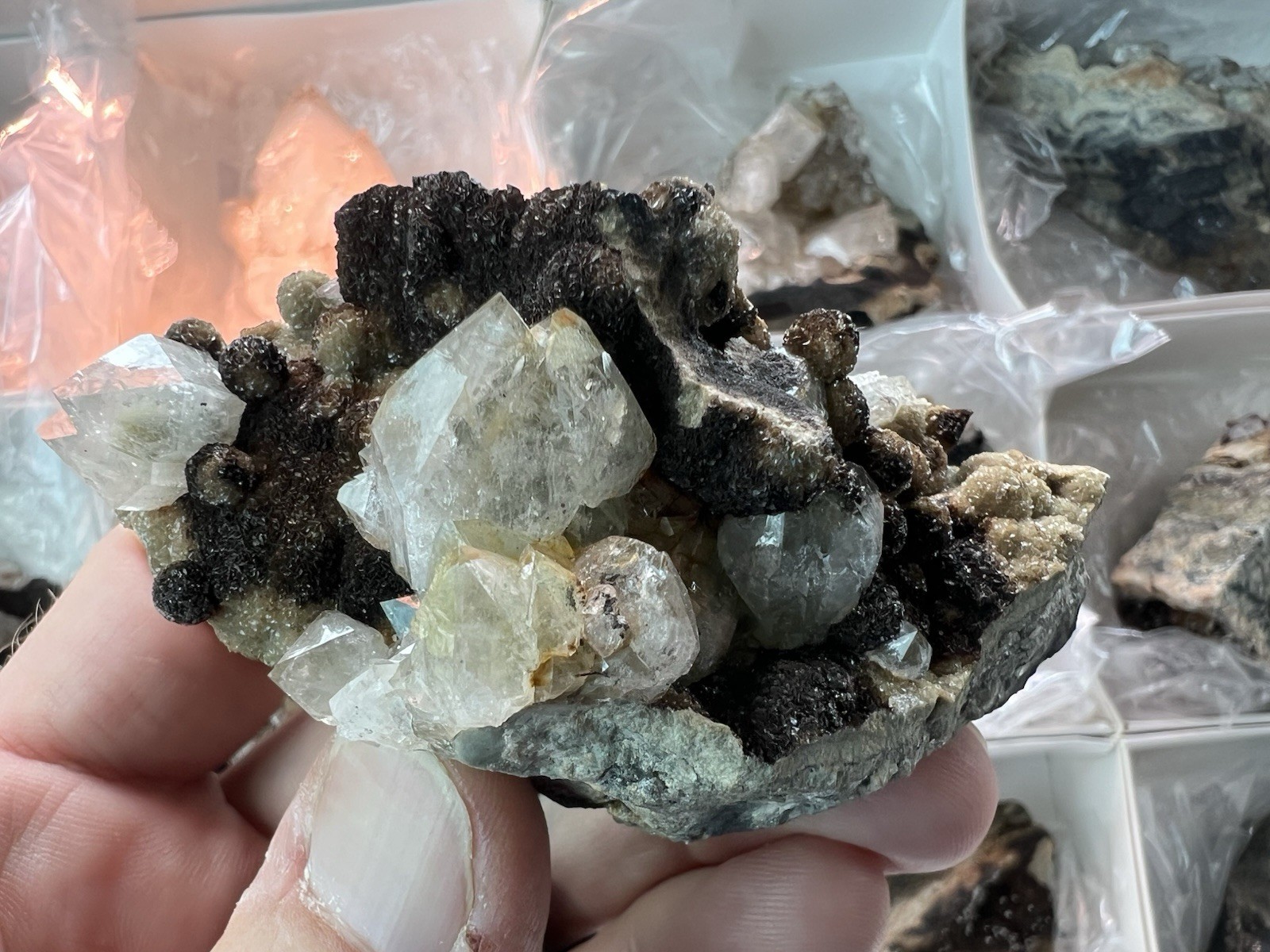 12 Quartz & Siderite Specimens – Potosí Mine, Santa Eulalia, Chihuahua, Mexico