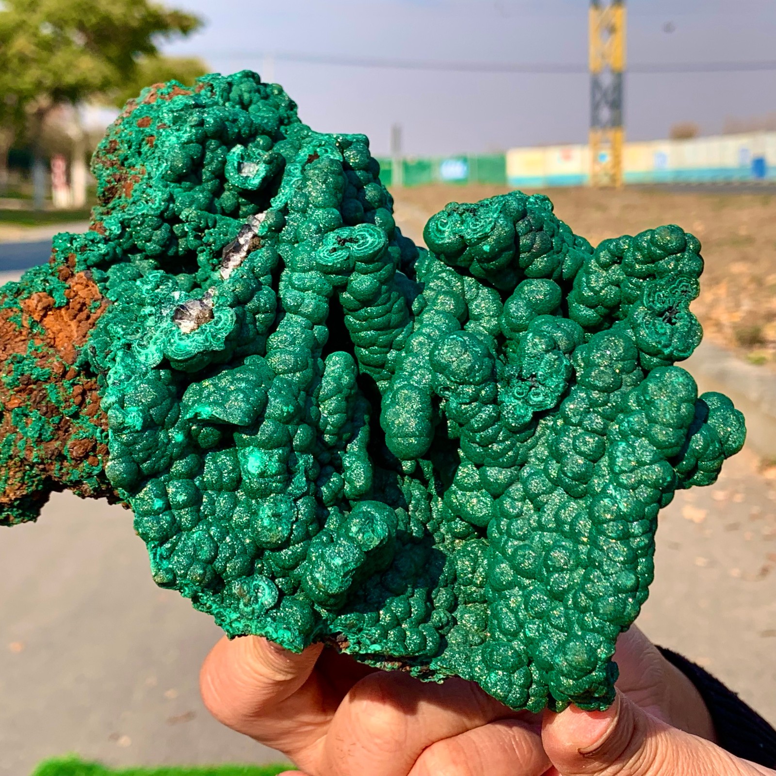 2.2LB Natural VELVET Azurite/Malachite cat’s eye specimen crystal mineral-Congo
