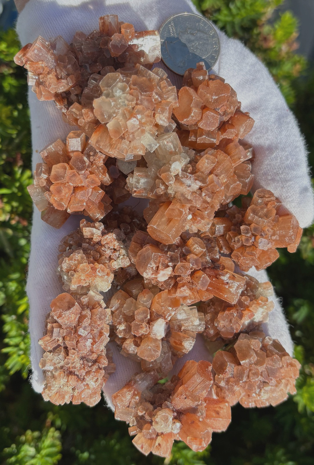 473g 1LB+ POUND LOT ARAGONITE NICE SIZE NUGGETS RED BROWN STALACITE STALACITES