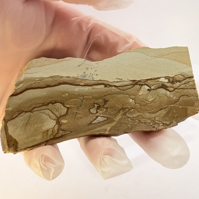 OWYHEE Picture Jasper Slab Polished Display Stone Oregon USA