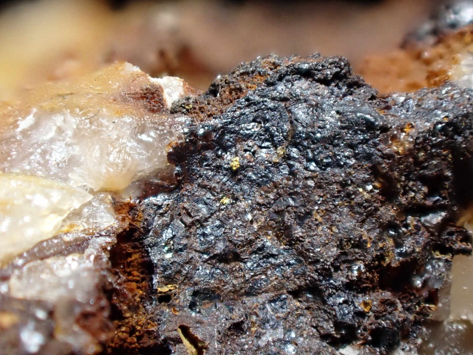 Native Gold on Limonite & Pyrite Capps Mine Mecklenburg Co North Carolina