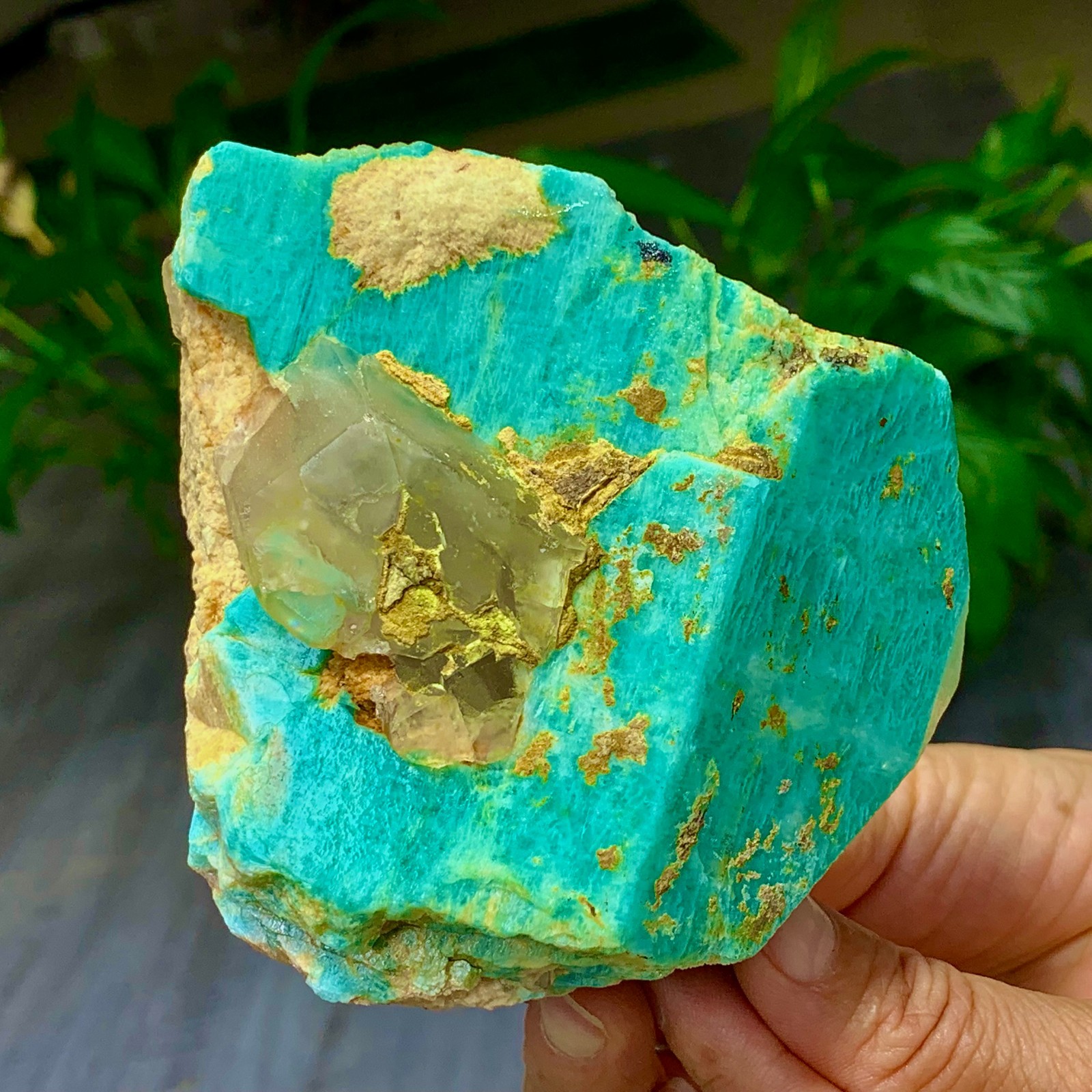 1.58LB Rare!! Natural beautiful Amazonite with Quartz Crystal Specimen Rough