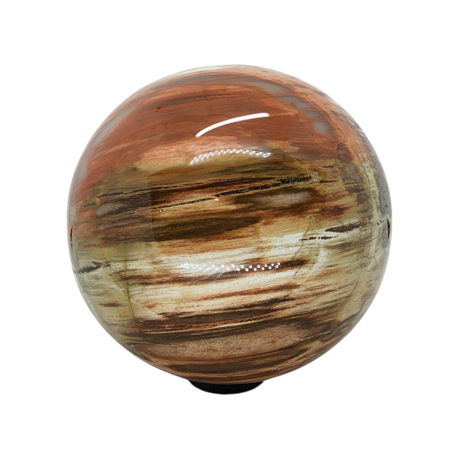 Petrified Wood, 3.75″, sphere, display specimen, #R-6529