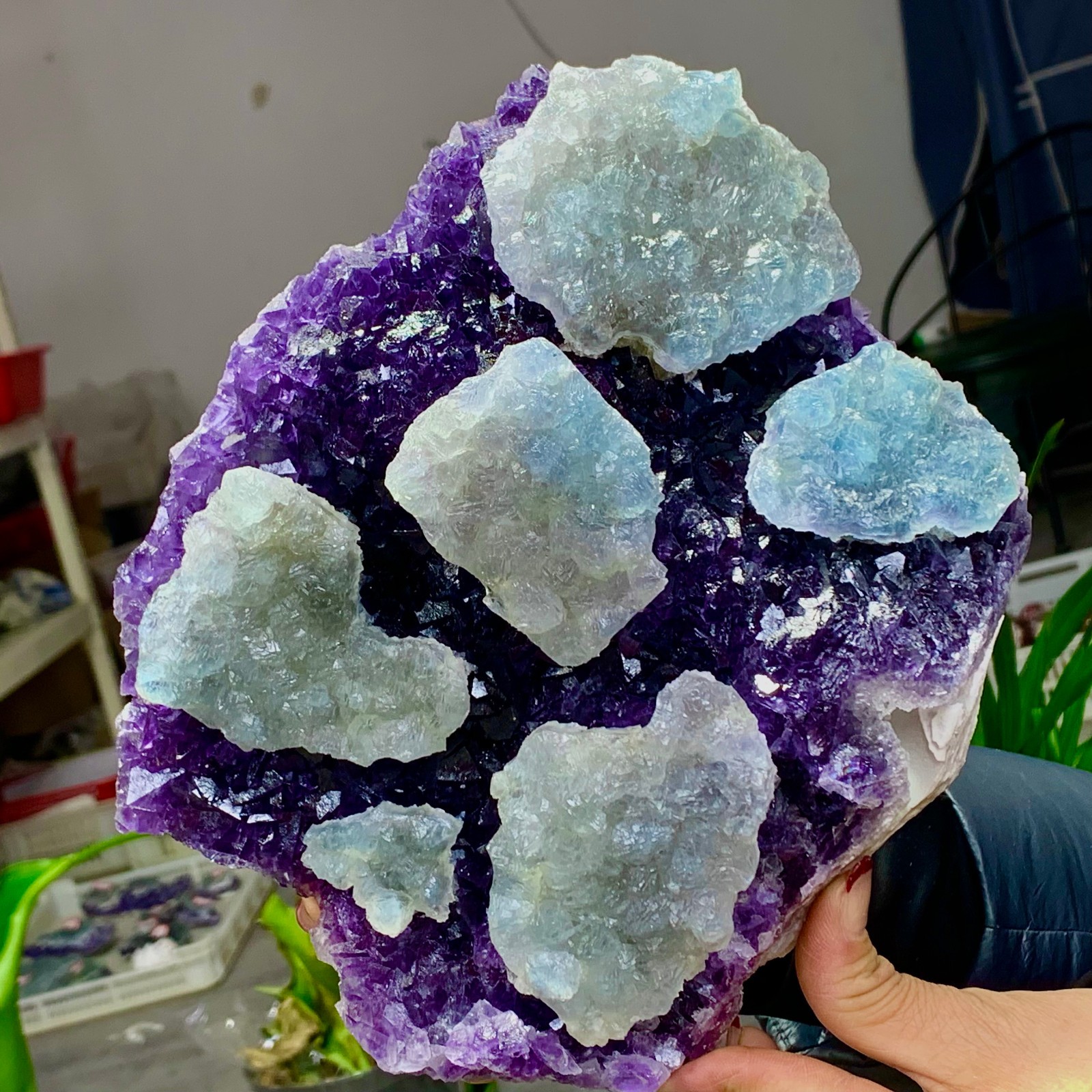 8.6LB Rare Purple Green blue cubic fluorite mineral crystal sample/Zhejiang