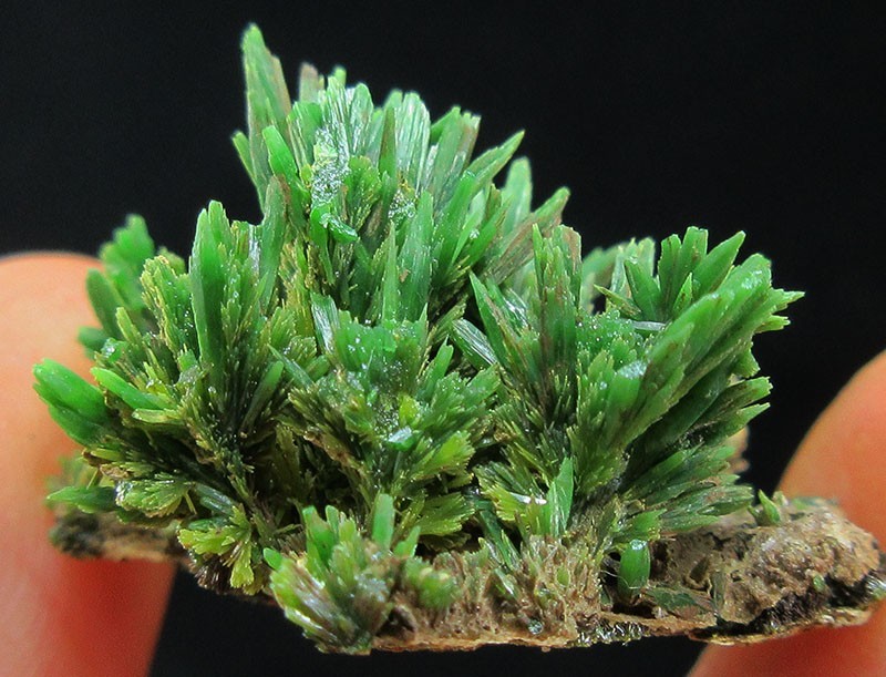6.9g green pyromorphite crystals minerals specimens from China!~~