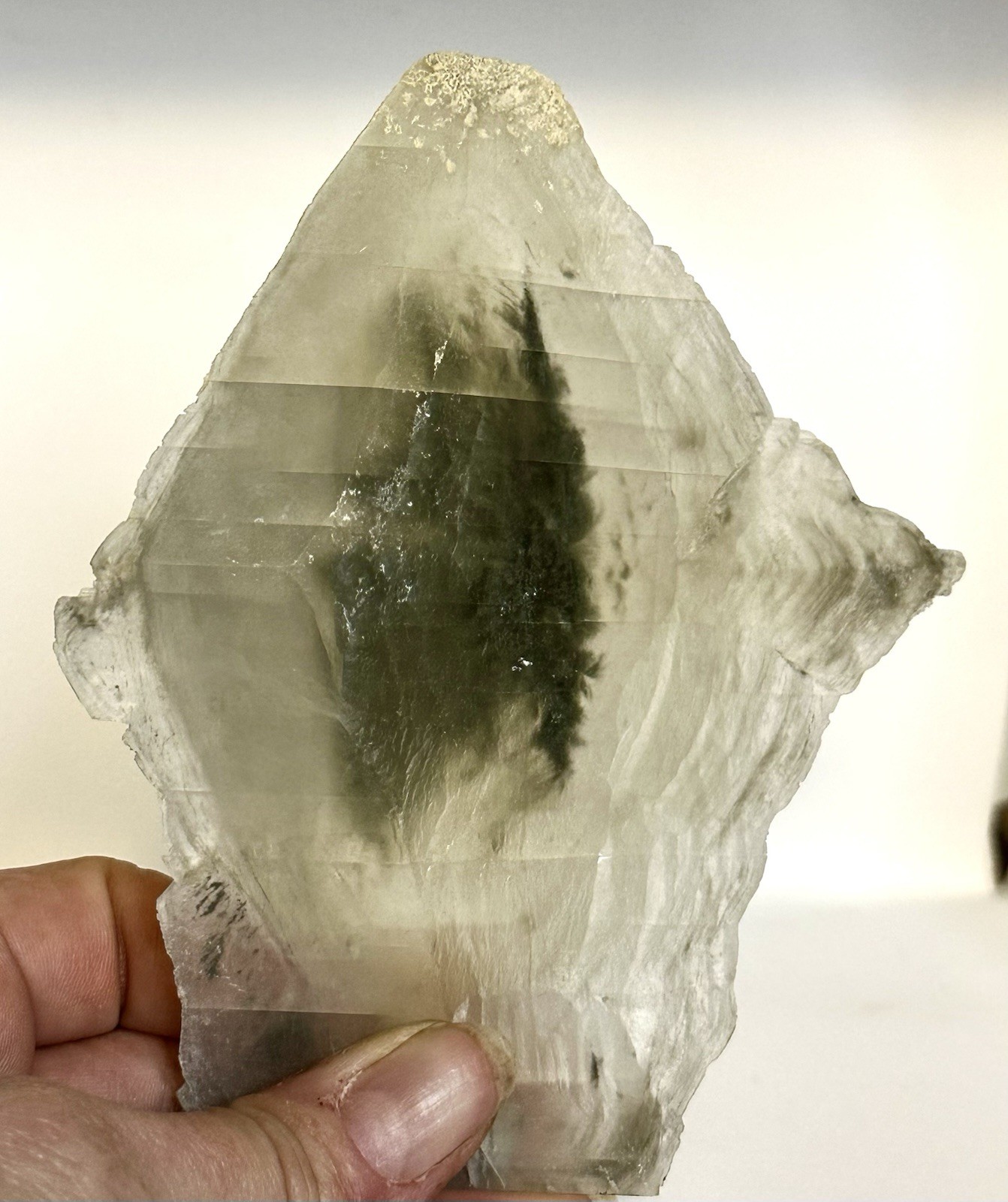 Gypsum/Selenite/Phantom Selenite…AKA: UTAHS DIRTY DIAMONDS. Great Salt Lake, UT