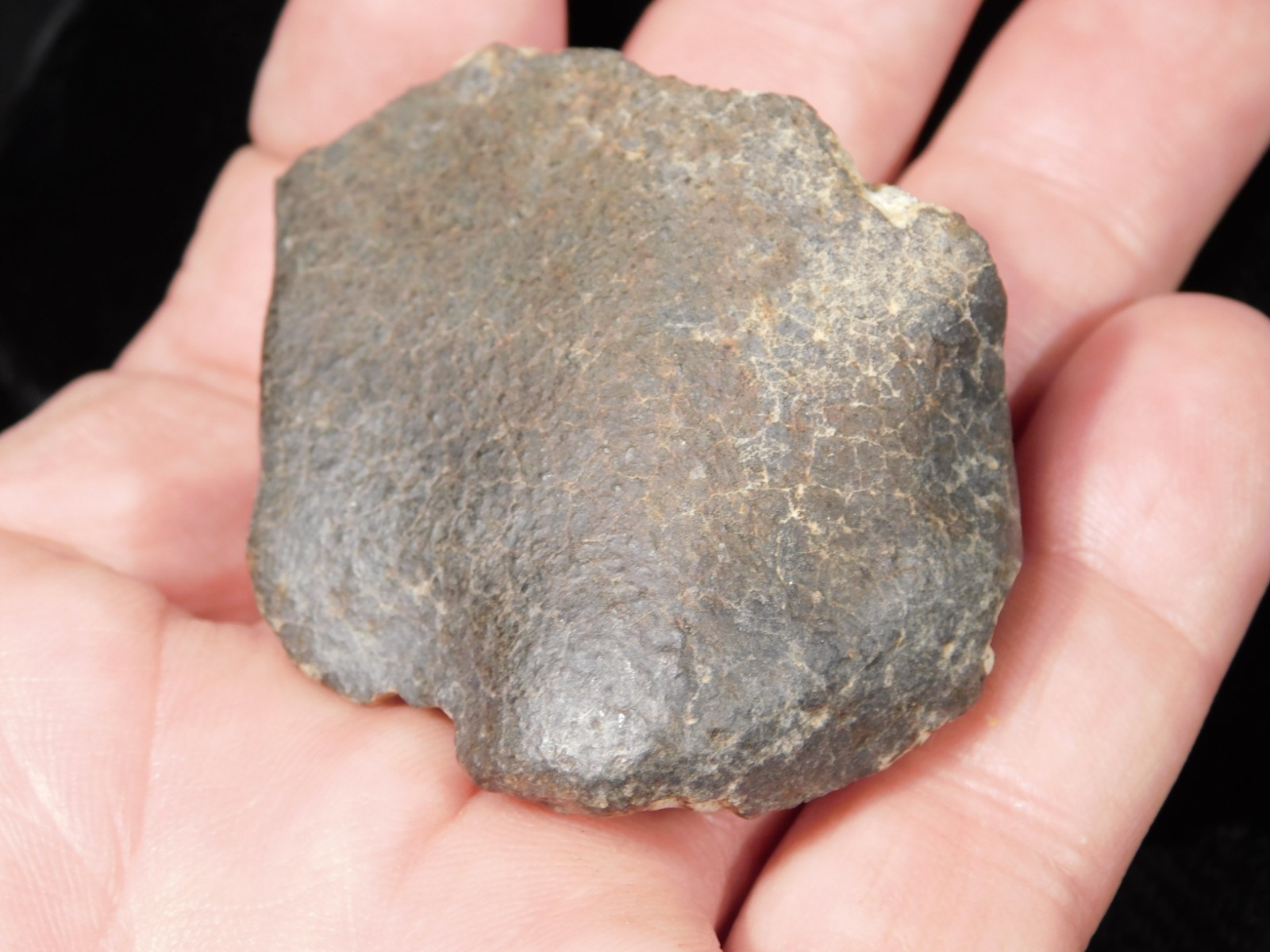 Stony METEORITE with DARK Fusion Crust and Contraction CRACKS 70.2gr
