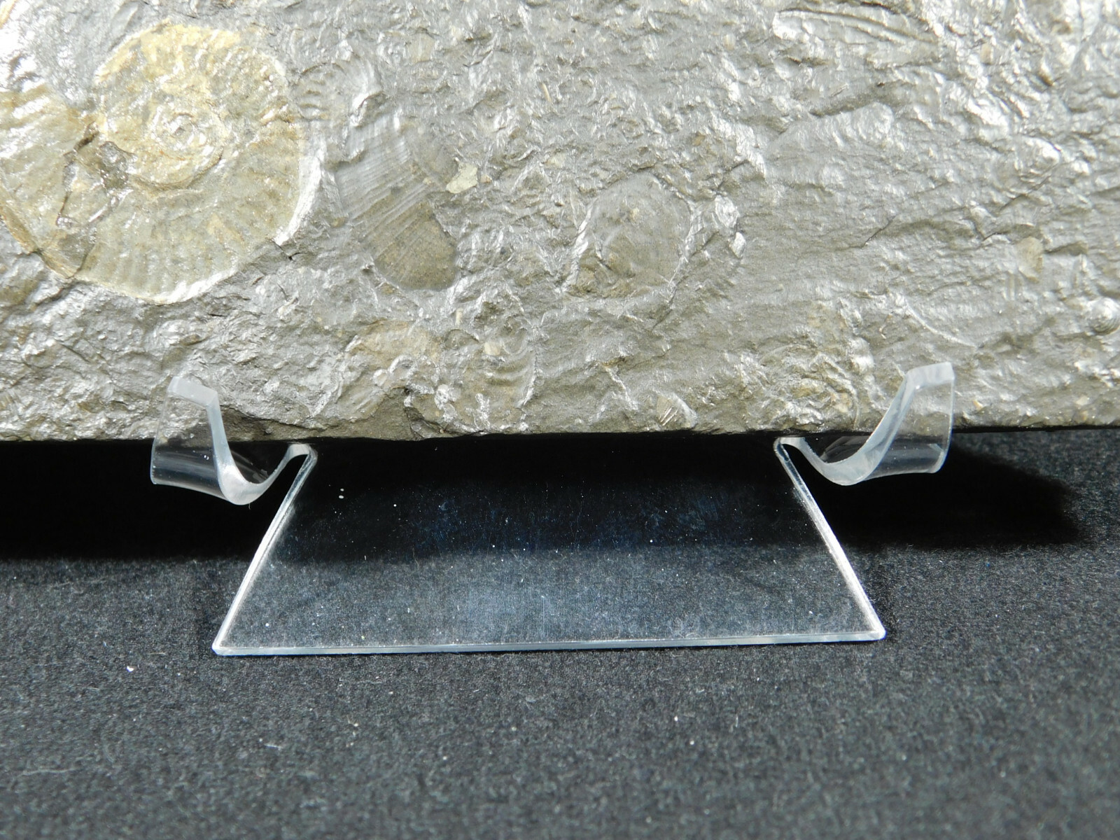 Easel Display Stand Medium Sized Clear LUCITE