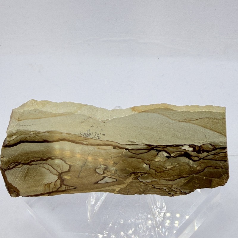 OWYHEE Picture Jasper Slab Polished Display Stone Oregon USA