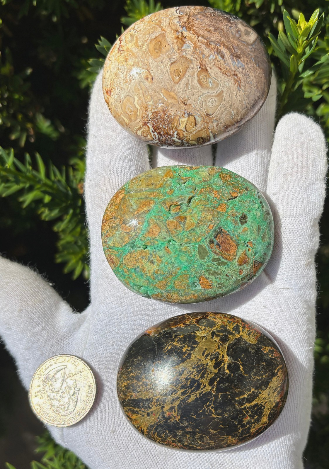 LOT MIZONE OPAL/GREEN SMITHSONITE/PALM ROOT PALMSTONES PALM STONES STONE