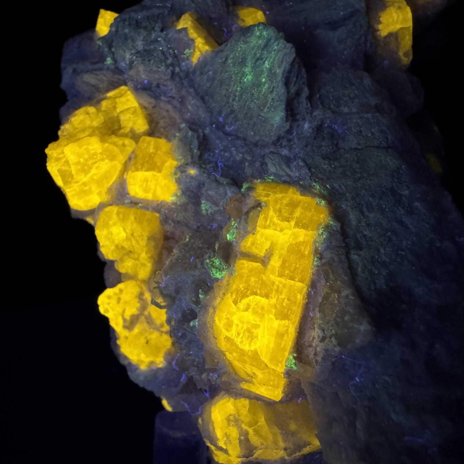 Fine Fluorescent Fluorapatite Crystals on Microcline: Himalaya mine, California
