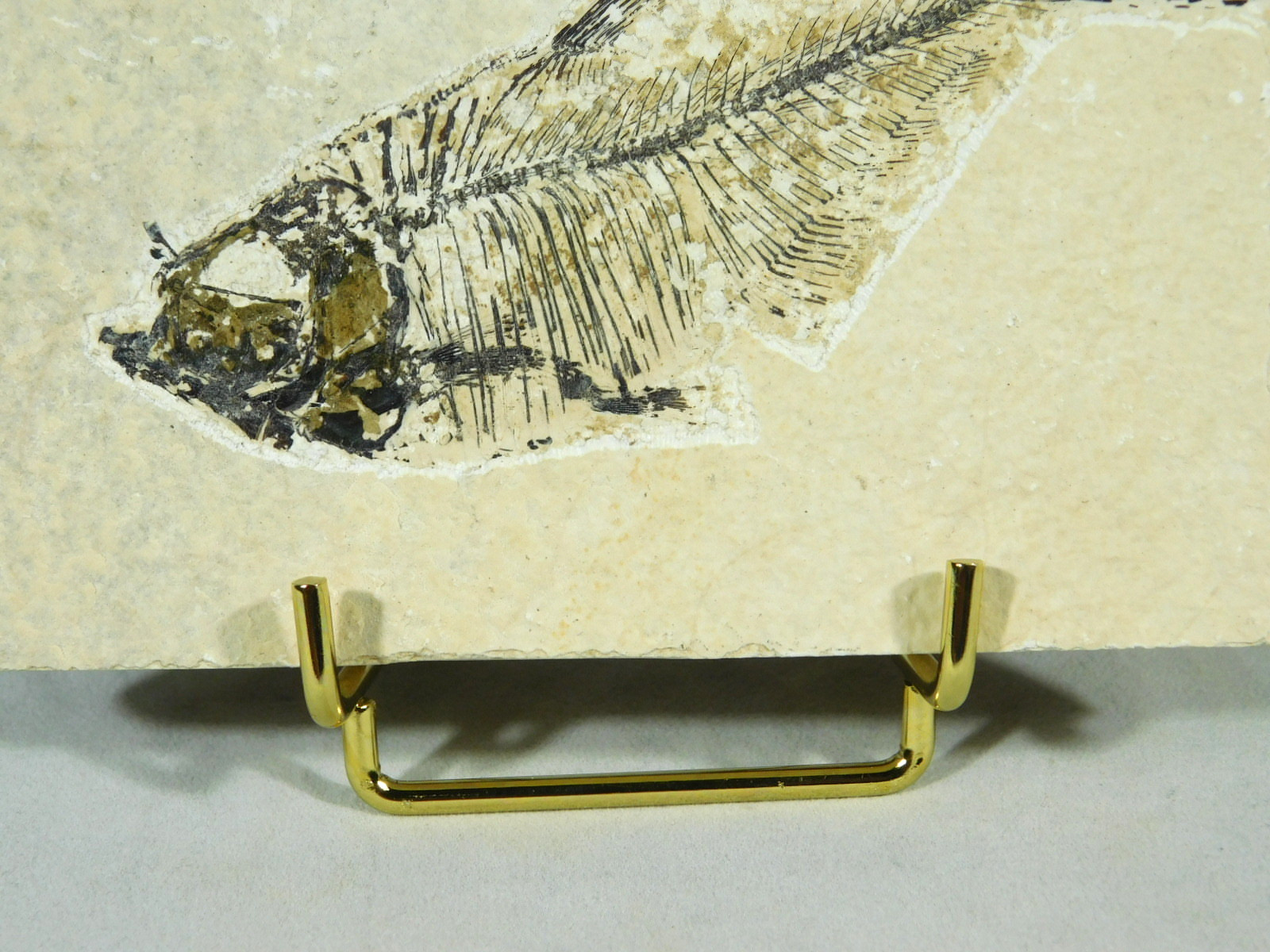 Easel Display Stand Small Size Gold Color