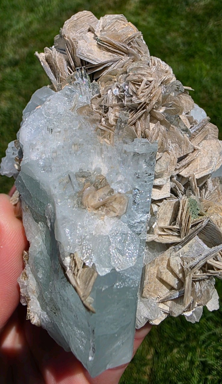 Aquamarine Crystal Garden on Muscovite