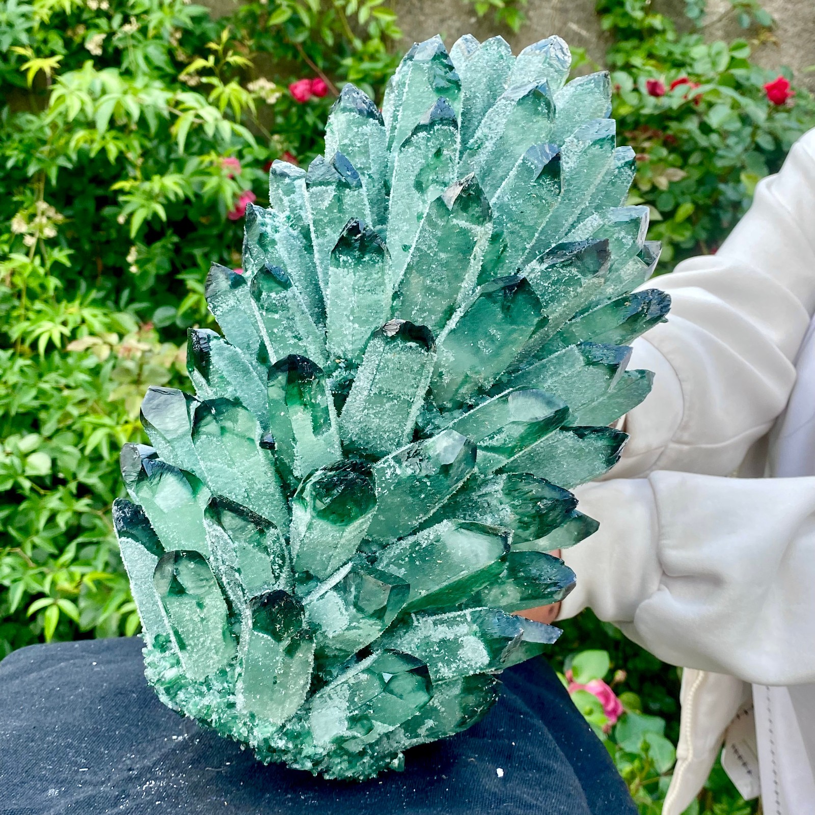 18LB New Find green Phantom Crystal Quartz Cluster Mineral Specimen Healing