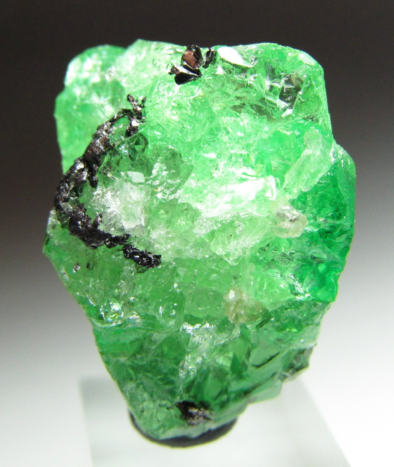 EXQUISITE ELEGANT GLASSY GEM TSAVORITE GROSSULAR GARNET W/ DIOPSIDE!!! TANZANIA