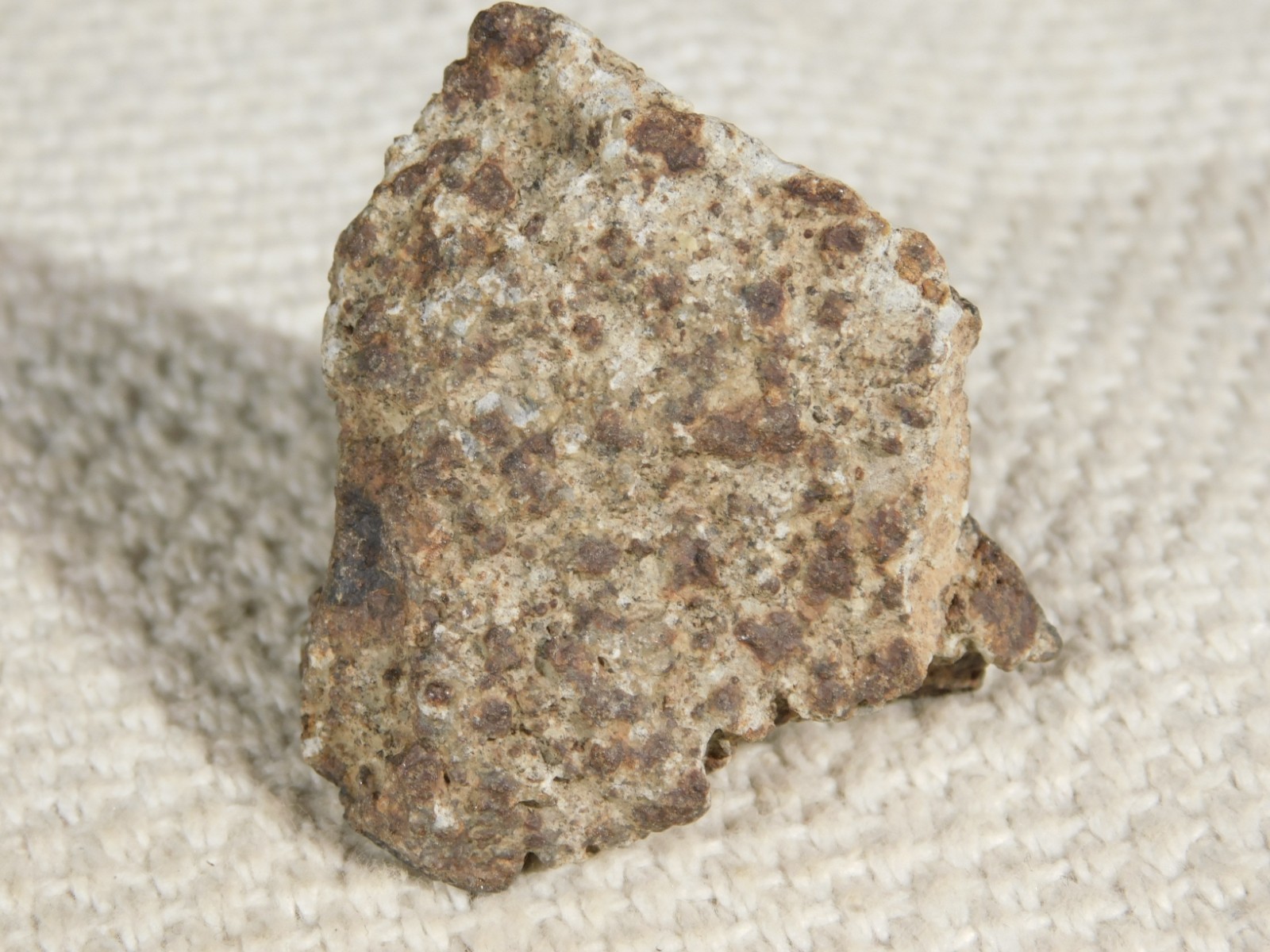 Classified NWA 8245 METEORITE 100% Natural FELL on Erfoud, Morocco 47.3gr
