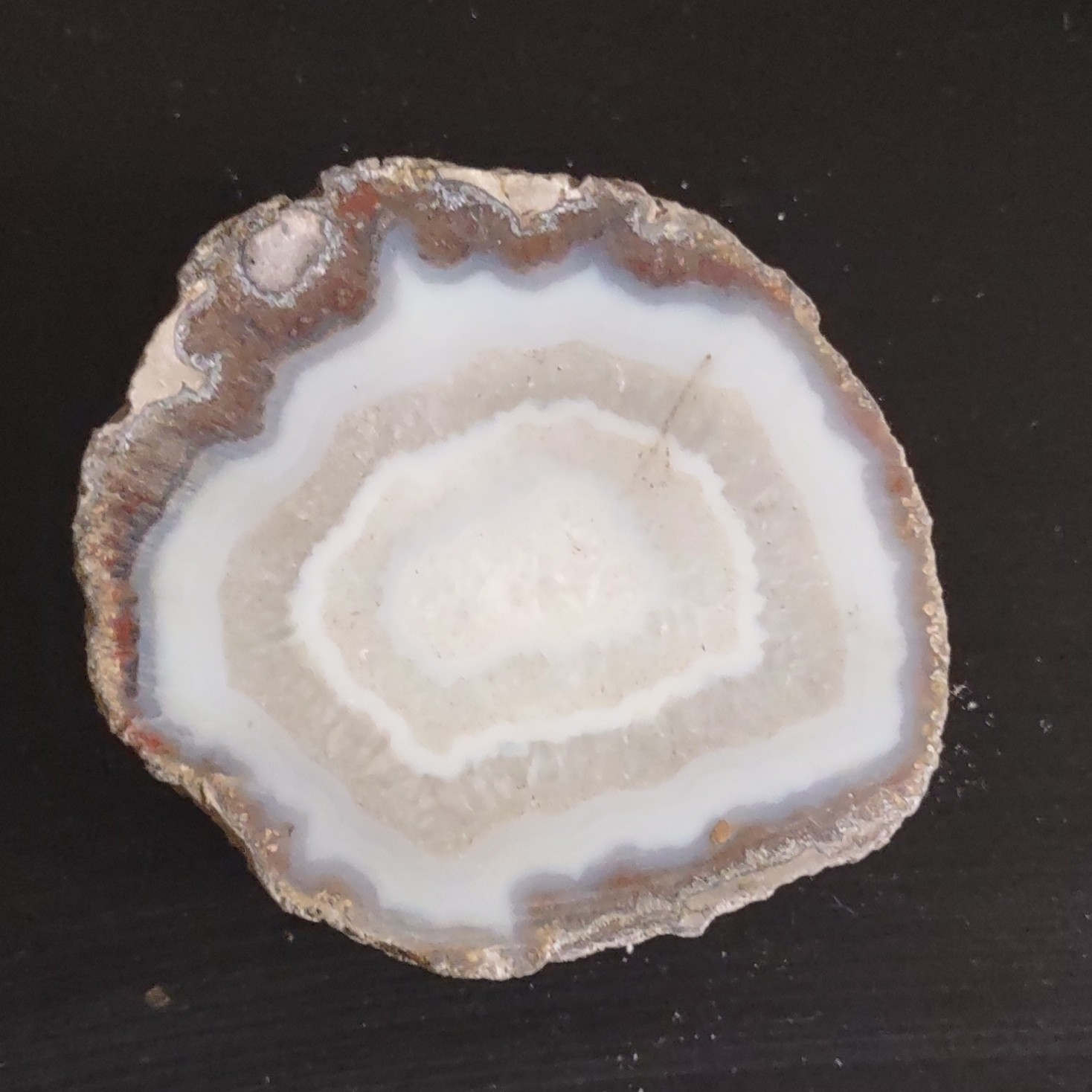 Geode Mineral Specimen Display Polished Slice with White and Brown Bands