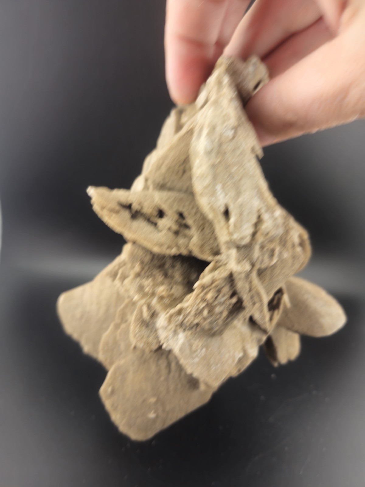 Hourglass Selenite Gypsum Crystal Cluster Oklahoma Old Stock 1286 Grams!