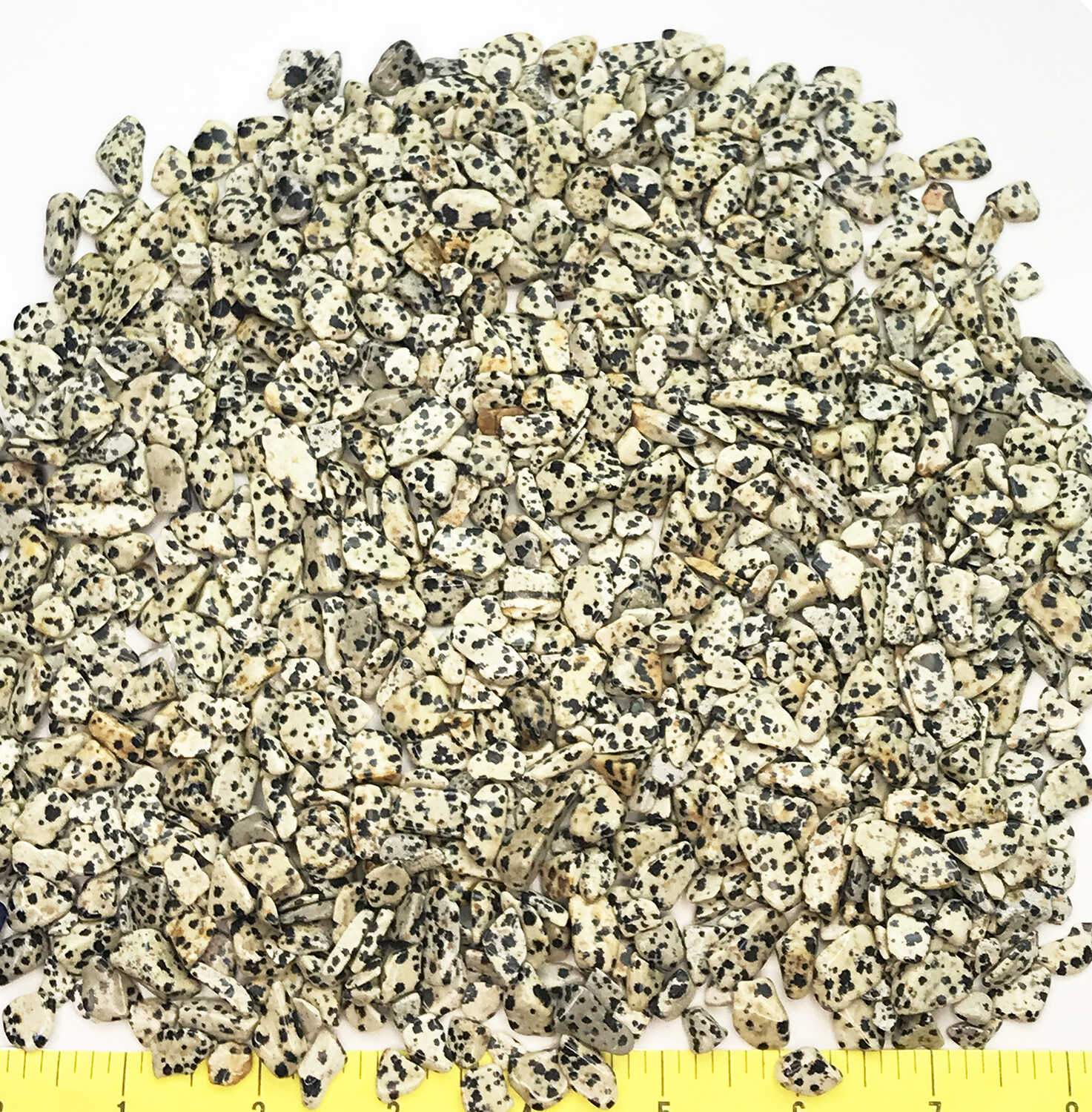 DALMATIAN STONE size Extra Small (5/16 to 5/8″) polished stone – 1 lb.