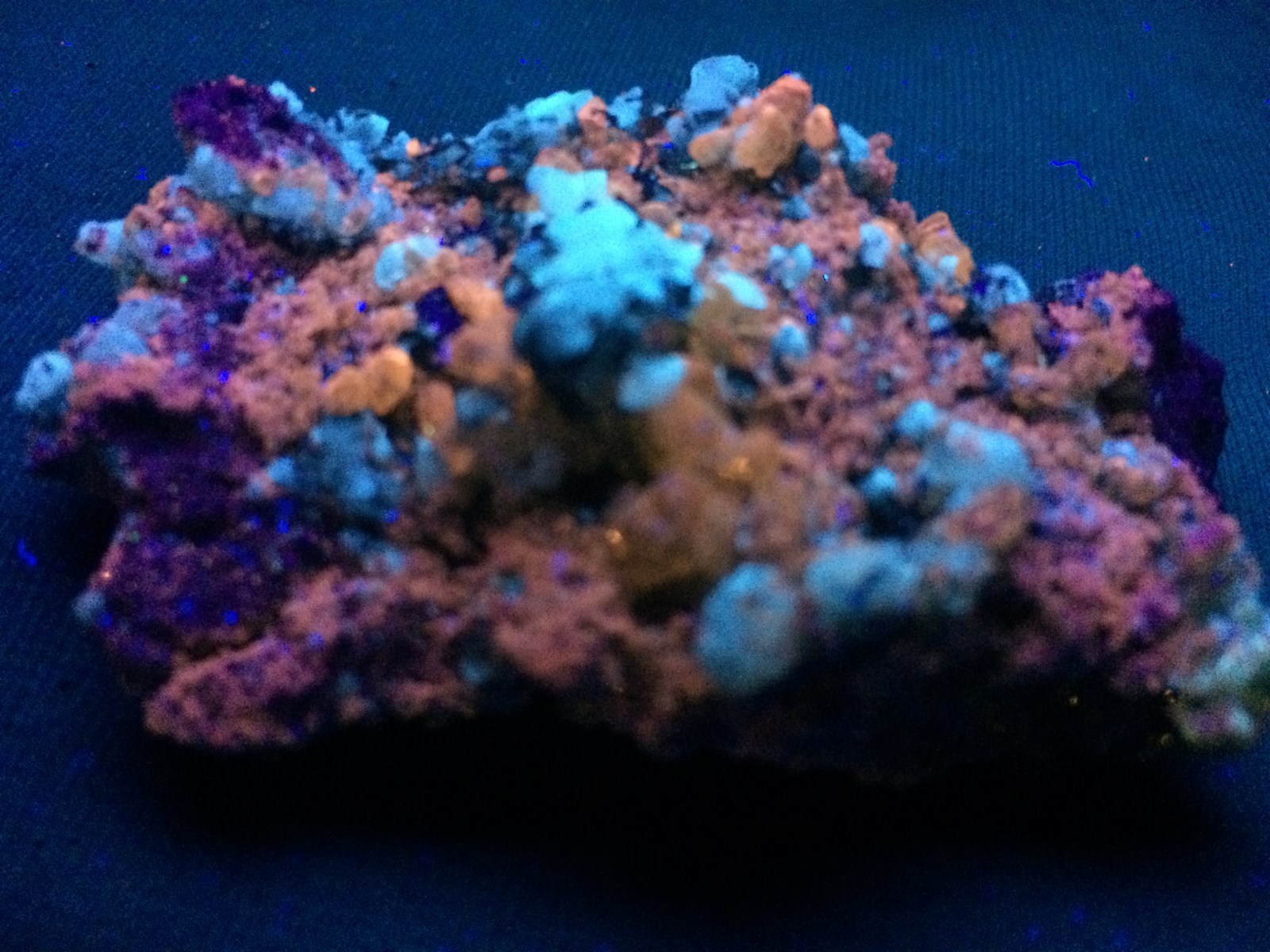 KB: BRIGHT SW FL. ORANGE APATITE XLS. W/ FL. WHITE CALCITE FROM SPAIN
