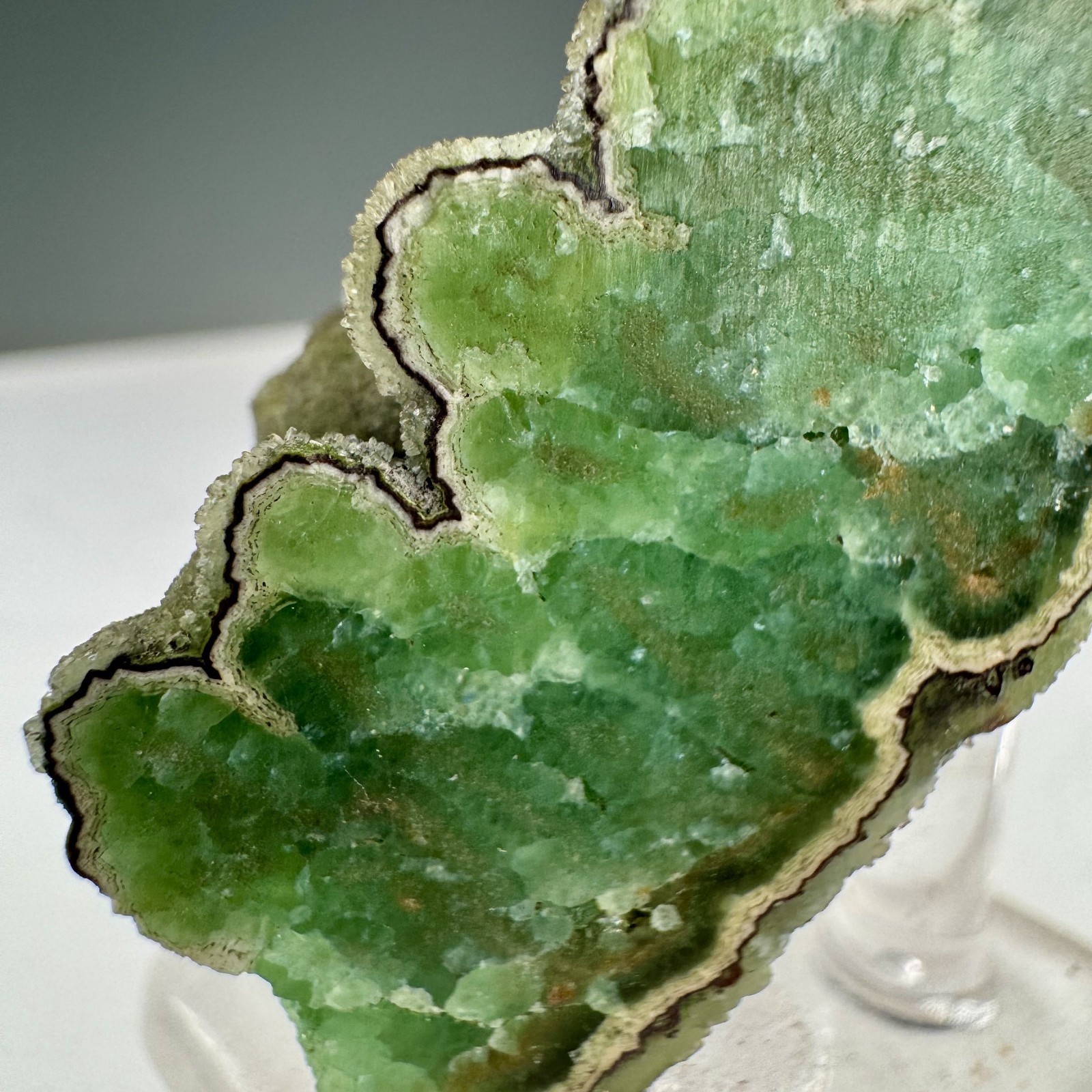 Beautiful Solid Green Smithsonite: Tsumeb Mine, Tsumeb, Namibia- Unusual!!
