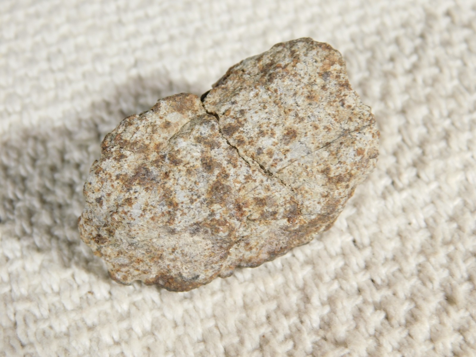 Classified NWA 8245 METEORITE Spots of Dark Fusion Crust! Erfoud, Morocco 21.0gr