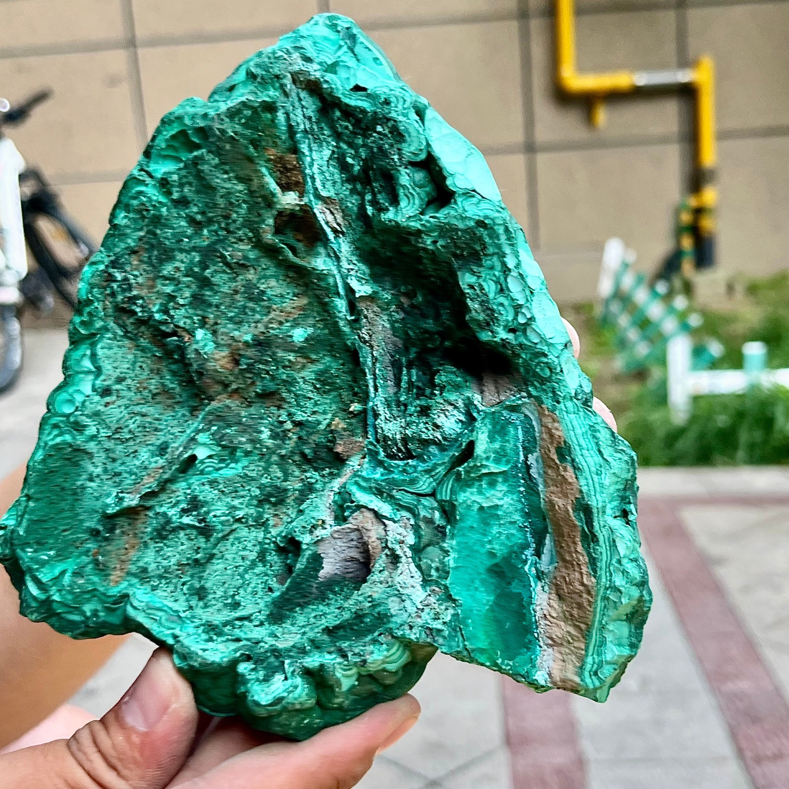 2.2 lb Eye Pattern Malachite Partially Polished Freeform Raw Back Specimen