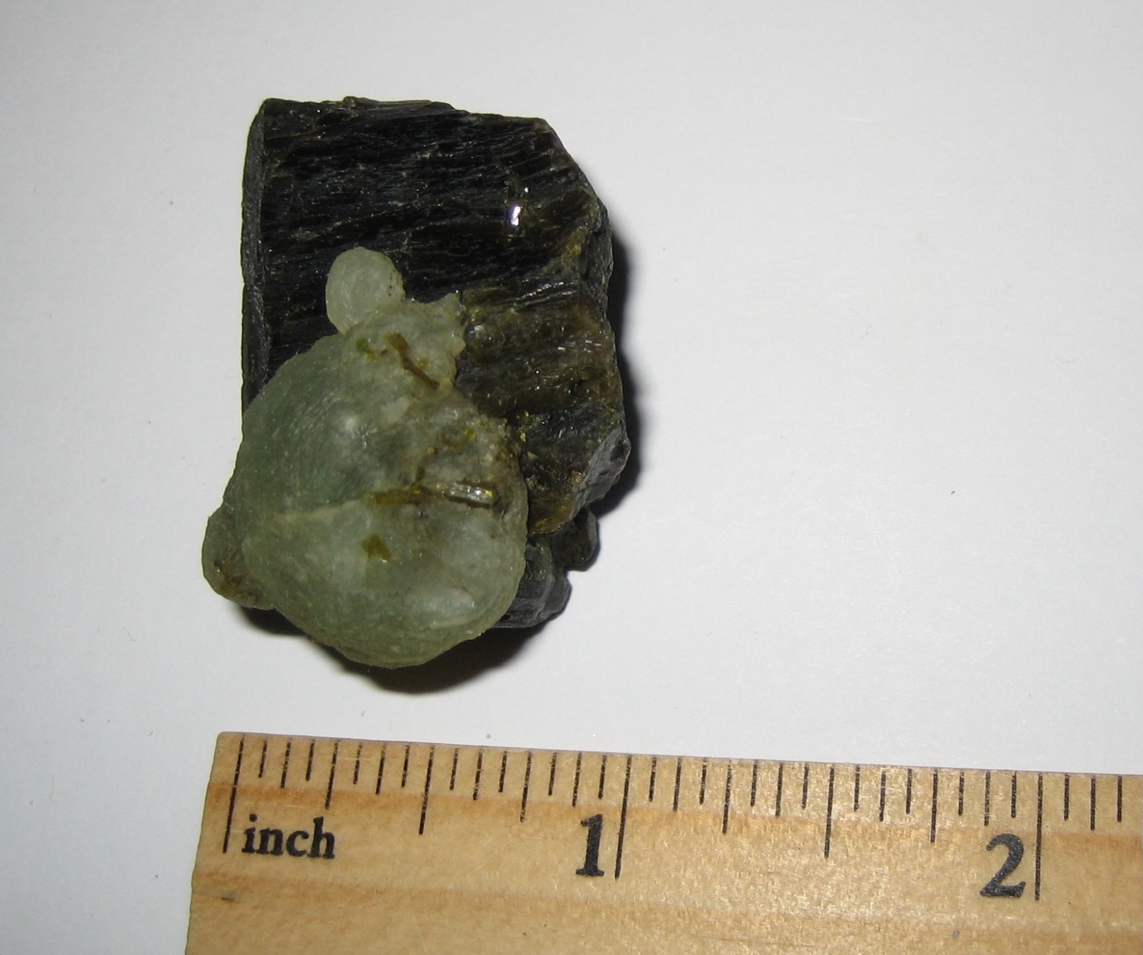 1.5″ TERMINATED NATURAL EPIDOTE CRYSTAL WITH PREHNITE FROM MALI, AFRICA ~ 33.4g