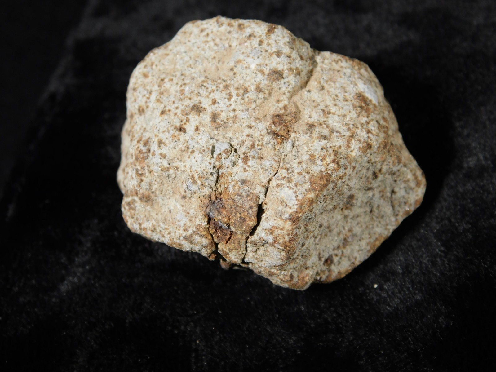 Classified NWA 8245 METEORITE Spots of Dark Fusion Crust! Erfoud, Morocco 52.8gr