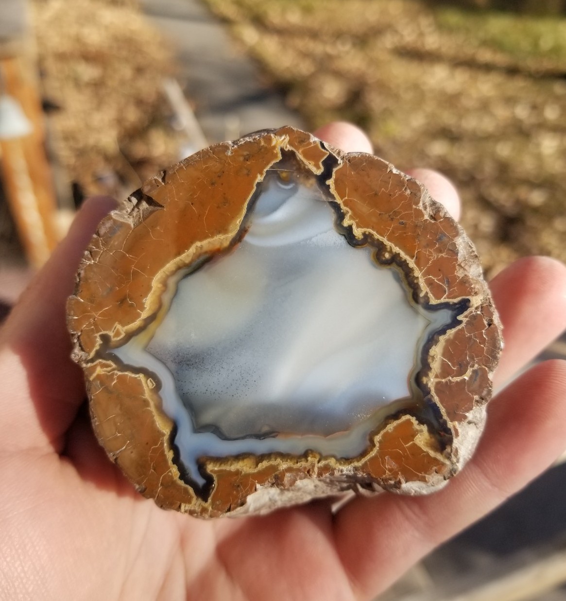 Nice Richardson Ranch Thunder Egg Geode 3″ Polished Half Specimen Opaque Banding