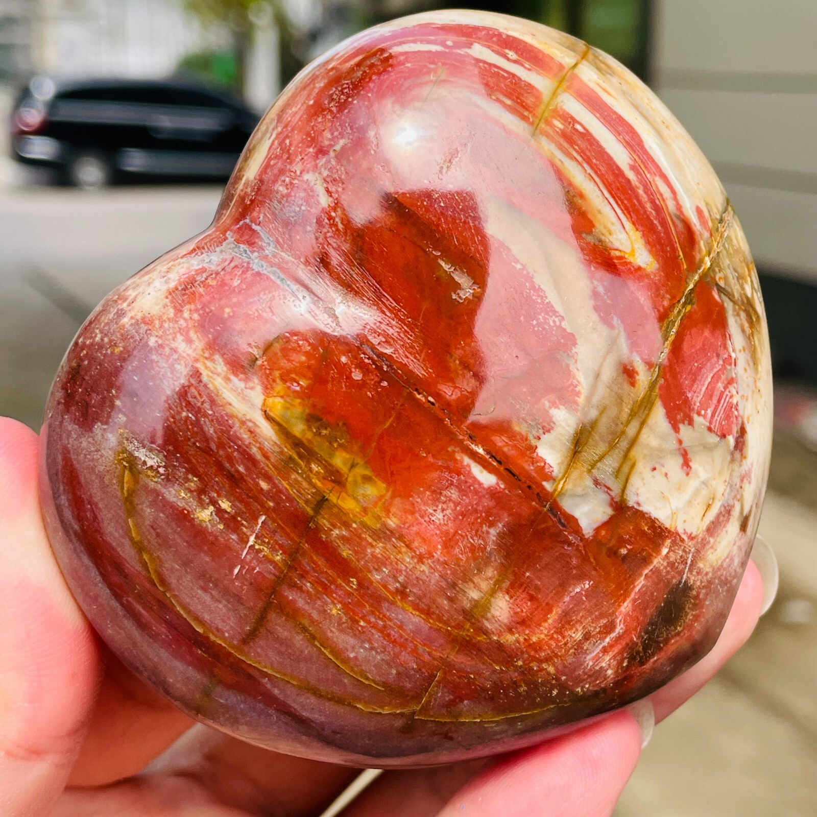 364g Natural Petrified Wood Jade Quartz Crystal Fossil Heart Shape Specimen